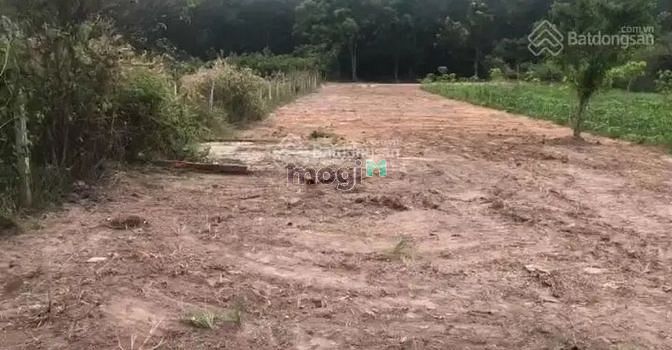 Hình ảnh KHÔNG PHÁT SINH THÊM PHÍ ĐẤT 140m² Hiệp Thạnh-Truông Mít Gò Dầu 699tr