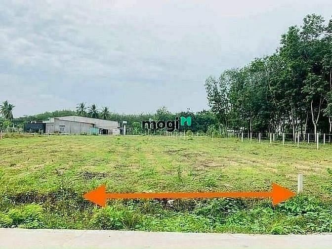 Hình ảnh Cọc nhanh thì còn ạ, còn đúng 1 lô 182m2 full tc giá:810tr H.Gò Dầu TN