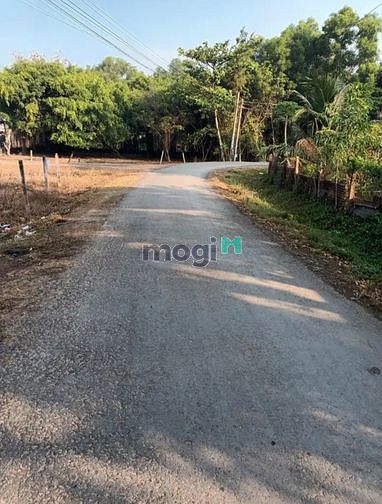 Hình ảnh BÁN GẤP ĐẤT CÓ SỔ Bến Chò, Hiệp Thành, Gò Dầu giá 730tr sở hữu 140m²