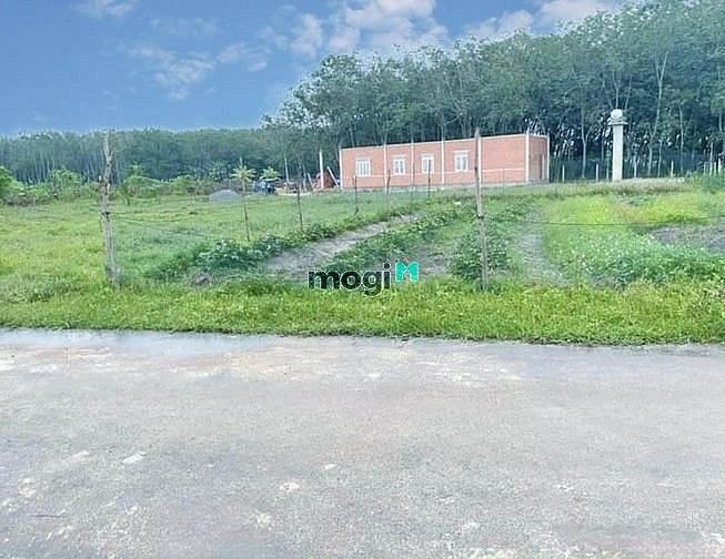 Hình ảnh Nơi an cư Lý Tưởng ngay KCN Phước Đông đất full thổ cư giá chỉ 650tr