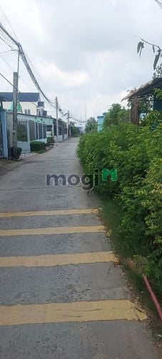 Hình ảnh Cần bán nhà cấp 4 Cách chợ Bình chánh chỉ 1.5km