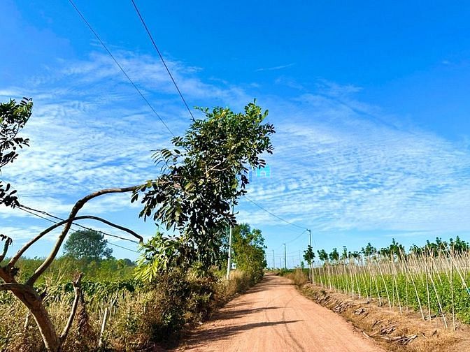 Hình ảnh Cuối năm Em ra giá lỗ luôn ạ ..Nhanh tay lụm 1 lô về ăn tết Anh chị ơi