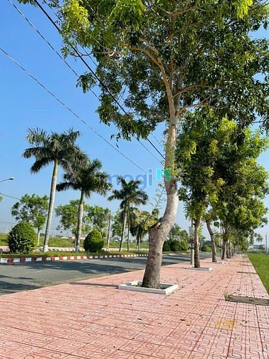Hình ảnh Bán gấp đất Mặt tiền Quốc lộ 50