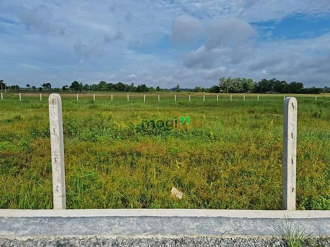 Hình ảnh GIA ĐÌNH CẦN TIỀN BÁN đất Tân Dông, Tân Châu, 1500m2, 685m2
