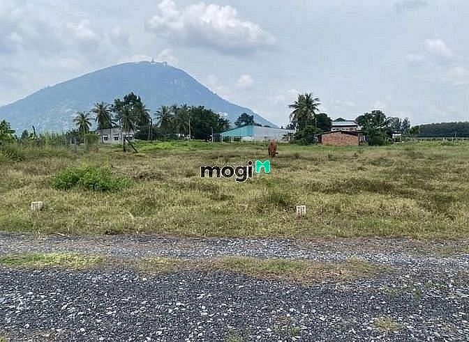 Hình ảnh Bán 1169m2 Đất Vườn View Núi Bà Tây Ninh Có 60m2 thổ cư