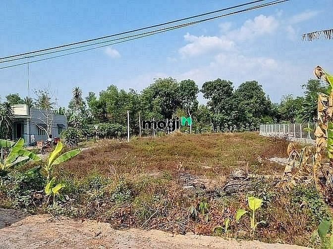 Hình ảnh SIÊU HIẾM Đất Gò Dầu chỉ 765tr full thổ 180m2