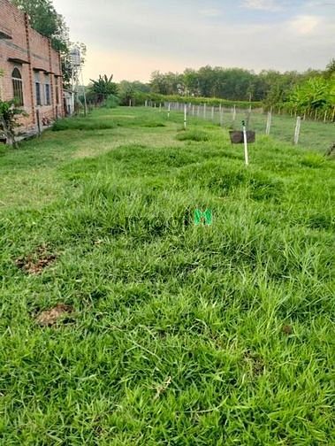 Hình ảnh Cắt lỗ lô đất 2 mặt tiền phường Ninh Thạnh, thành phố Tây Ninh 138mv