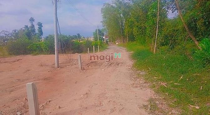 Hình ảnh Bán gấp đất Bến Cầu, Tây Ninh thổ cư 140m2 giá chỉ 105 triệu/ mn SHR