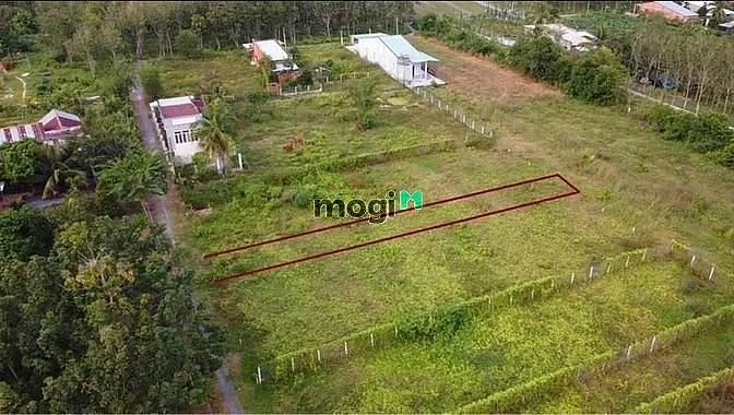 Hình ảnh SIÊU RẺ ĐẤT Hiệp Thạnh, Gò Dầu, 525 triệu, 320m², PLRR