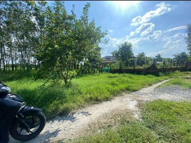 Hình ảnh Bán đất ngộp ngay Phước Hội A, Phước Thạnh, Gò Dầu, Tây Ninh 235tr