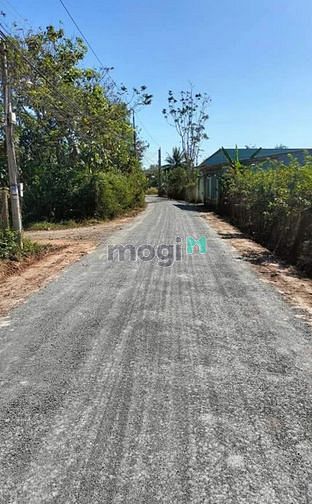 Hình ảnh Bán đất An Điền, An Bình, Châu Thành, Tây Ninh với giá 460tr hết đất