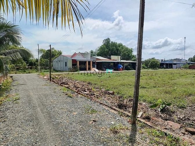 Hình ảnh Đất Thị Xã Trảng Bàng  🍁 6 X34m 50TC + CLN giá 510Tr Hết Đất LH:Minh