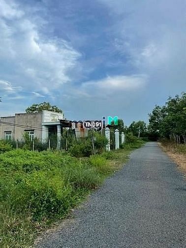 Hình ảnh ĐẤT NHÀ TRỒNG Ấp 5 Bàu Đồn Phước Thạnh 620tr 280m² vay NH 50% SHRCC