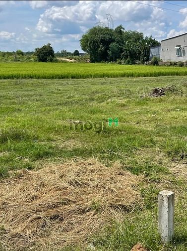 Hình ảnh VỊ TRÍ VÀNG ĐẤT Bời Lời, TP Tây Ninh, 1820m² có TC, 430tr, PLRR
