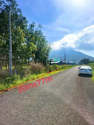 Hình ảnh Anh trai cần tiền bán gấp chỉ 515 triệu lô đất ngay Tân Bình TP.TN SHR
