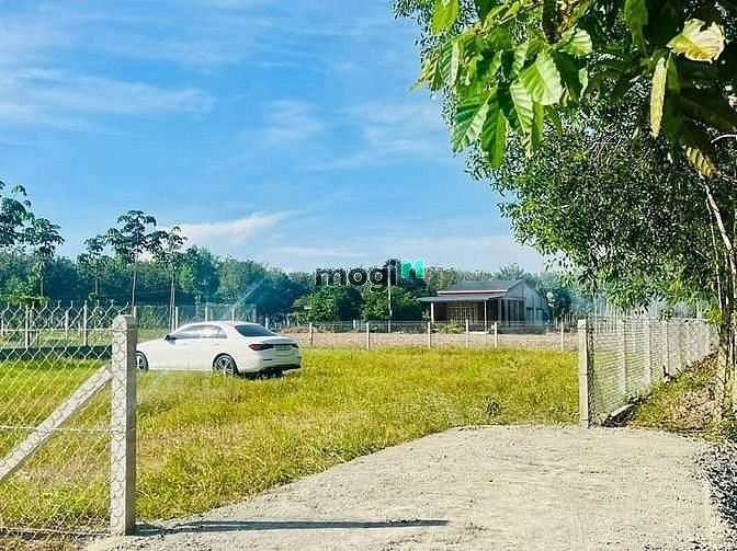 Hình ảnh HÀNG VIP Ấp RộcB, Thạnh Đức, Gò Dầu, 654 triệu, 326m²