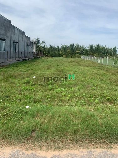Hình ảnh THANH LÝ ĐẤT Tân Hà, Tân Châu ,H Tân Châu Tây Ninh 160m² giá 570tr SHR