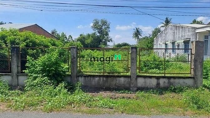 Hình ảnh LÀM ĂN THUA LỖ bán đất Cây Da, Phước Đông, Gò Dầu 520tr
