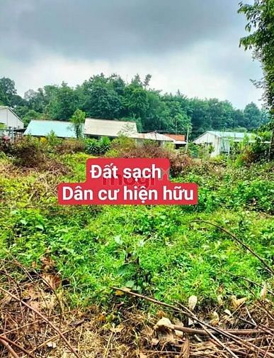 Hình ảnh Chủ gửi bán đất P.Gia Bình - TX.Trảng Bàng DT: 10 x 47 đất CLN 100% tc