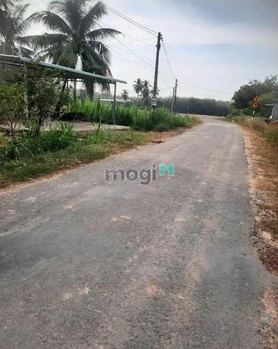 Hình ảnh BỂ NỢ BÁN ĐẤT Trâm Vàng Phước Đông Gò Dầu 150m² giá 539tr sổ riêng