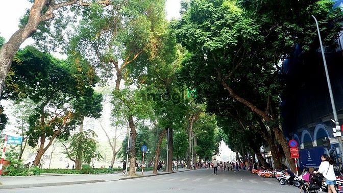 Hình ảnh Cho thuê nhà mặt phố Hàng Khay, 45m2, mt 6m.
