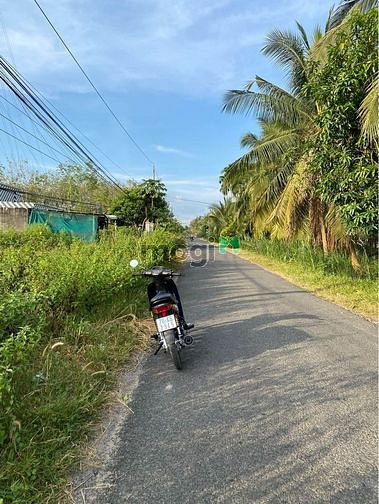 Hình ảnh CẦN BÁN GẤP đất Tân Biên,Tây Ninh, 150m2, 900 triệu, SHR