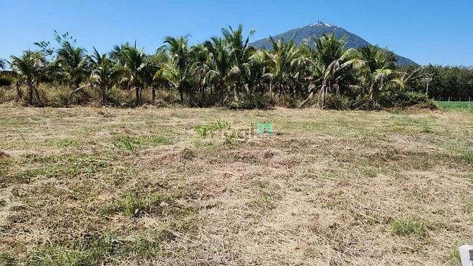 Hình ảnh nhanh tay thì còn, chậm tay cũng chẳng có mất ạ Xã Phan, DMC, Tây Nịn