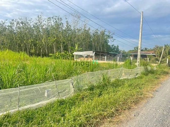 Hình ảnh Bán đất tặng nhà đường ĐBP Tp Tây Ninh. - Đất : 100 % thổ cư  280tr/mn