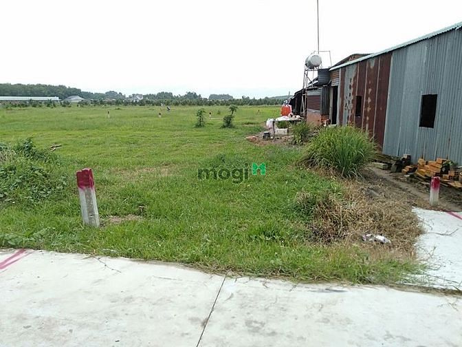 Hình ảnh CƠ HỘI SỞ HỮU MẢNH ĐẤT VÀNG Phước Thạnh Gò Dầu, 160m2, SHR
