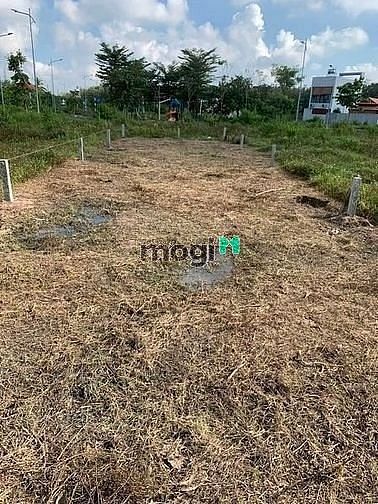 Hình ảnh NHANH TAY CÒN ĐẤT CHẬM TAY CÒN EM bán đất Trần Văn Trà Bình Minh 95m²