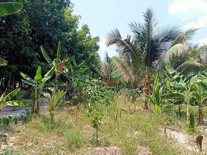 Hình ảnh Đất P.Ninh Sơn, Tp. Tây Ninh. Đất ngay chân núi Bà Đen DT:5×60/390tr