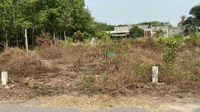 Hình ảnh SIÊU PHẨM ĐẤT Hiệp Thành, Gò Dầu, 144m² có TC, 730 triệu, PLRr