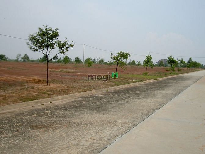 Hình ảnh Cho thuế đất trống Mỹ Phước 3Khu I