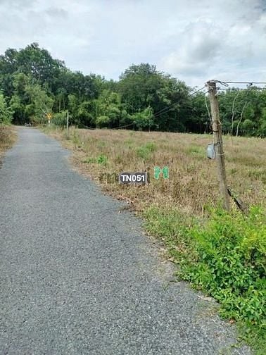Hình ảnh Cần bán gấp lô đất đường Long Hòa, Long Khánh, Bến Cầu, Tây Ninh 452tr