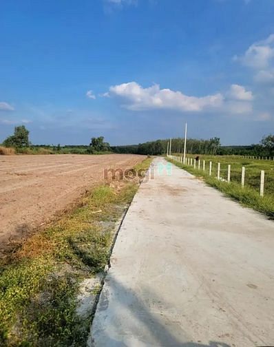 Hình ảnh SIÊU PHẨM ĐẤT 6X30m Hiệp Ninh TP Tây Ninh giá 690tr có sổ riêng