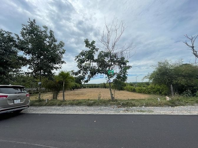 Hình ảnh Bán 180m2 đất TC ngay UBND xã Láng Dài, Đất Đỏ. Cách QL55 đúng 500m.