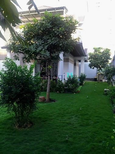 Hình ảnh TH16 - Bán Biệt Thự đường số 64, Phường Thảo Điền, Quận 2 Đẹp