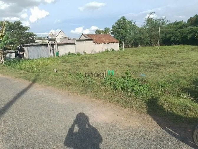 Hình ảnh (ĐẤT ĐẸP🔥) Xóm Mới-Thanh Phước-Gò Dầu mặt tiền NHỰA  5x52 TC 100M