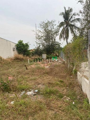 Hình ảnh ĐẤT NGỘP Ninh Phú,DMC, 175m² có TC 165m², 320tr, PLRR