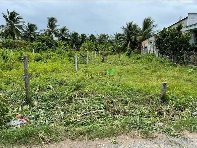 Hình ảnh FULL THỔ CƯ 125m2 tại Phước Chỉ Trảng Bàng chỉ 299tr SHR