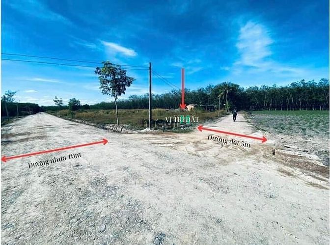 Hình ảnh HẠ TẦNG HOÀN THIỆN bán gấp đất NG VĂN XIÊN - P1 giá chỉ 596tr