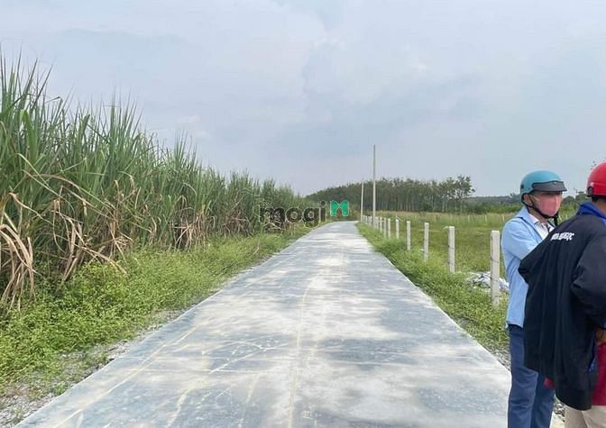 Hình ảnh ĐƯỜNG VÀO RỘNG 6m đất BẾN CẦU - LONG PHƯỚC giá chỉ 357tr SHR sẵn