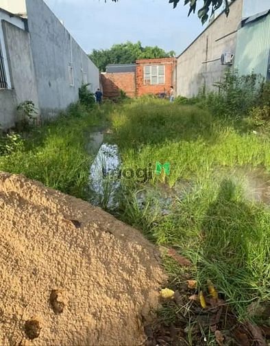 Hình ảnh THIẾU VỐN BÁN ĐẤT Suối Đá, Xã Phan, Dương Minh Châu 130m² giá 550tr