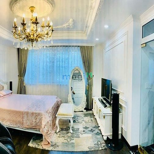 Hình ảnh TH48 Villa Hà Đô - Thạnh Mỹ Lợi cho thuê 100Tr/tháng - bán - 46Tỷ5