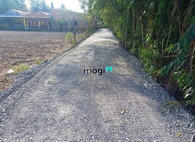 Hình ảnh BAO PHÍ SANG TÊN ĐẤT Phạm Hùng, Tân Hiệp, Hoà Thành 188m² giá 650tr