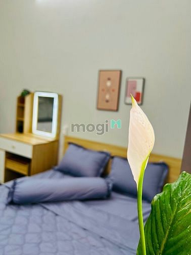 Hình ảnh CHO THUÊ CĂN HỘ 1 PN, Quận 3. Full NT, gần Cao Thắng, gần bv Từ Dũ