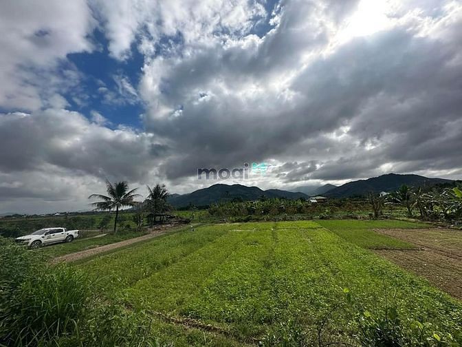 Hình ảnh Hạ giá bán lô đất siêu rẻ view sông