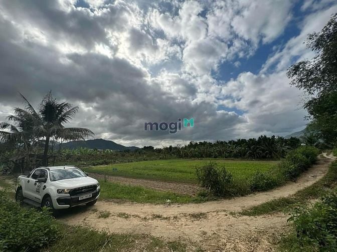 Hình ảnh Hạ giá bán lô đất siêu rẻ view sông