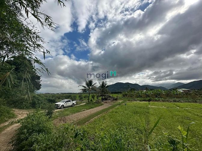 Hình ảnh Hạ giá bán lô đất siêu rẻ view sông