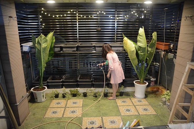 Hình ảnh Ở trọ D2 Bình Thạnh - Tặng chi phí chuyển trọ 500k